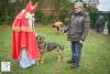 Hondenschool Sinterklaas 2023 14