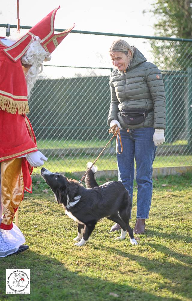 Sinterklaas 2024 73