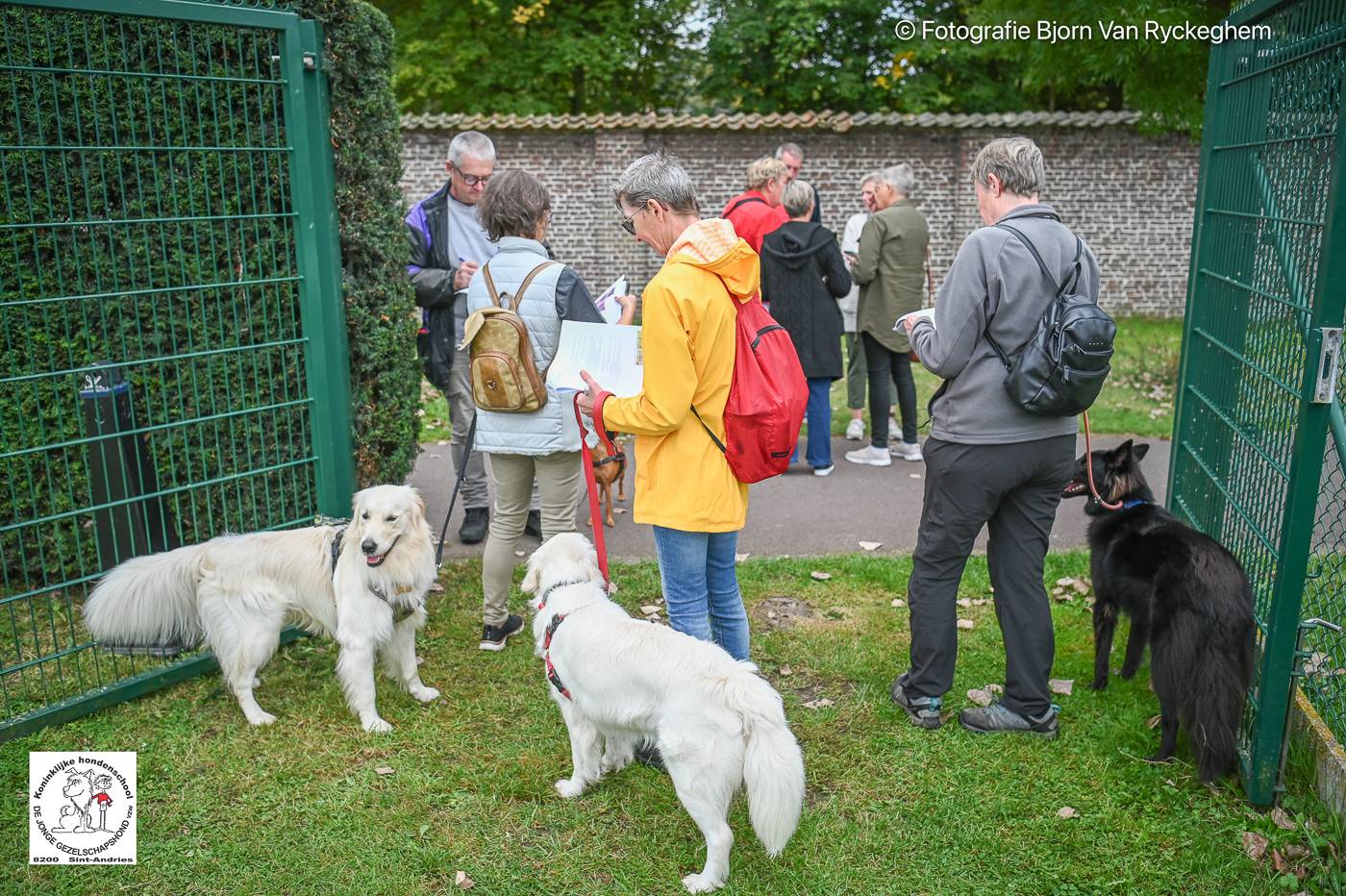 Hondenschool De Jonge Gezelschapshond Ontbijt & zoektocht 2025 68