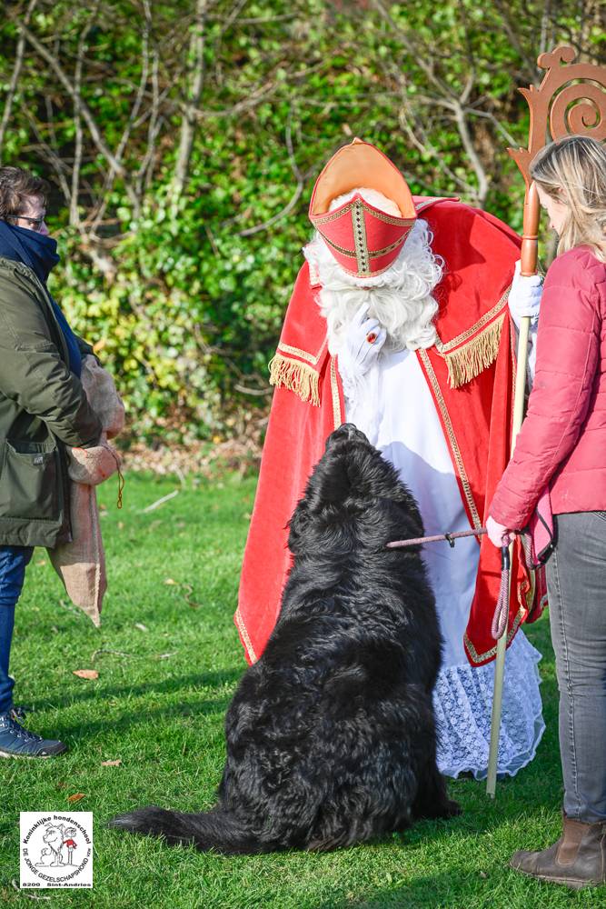 Sinterklaas 2024 156