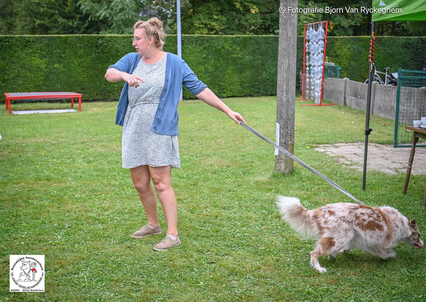 Hondenschool De Jonge Gezelschapshond Ontbijt & zoektocht 2025 57