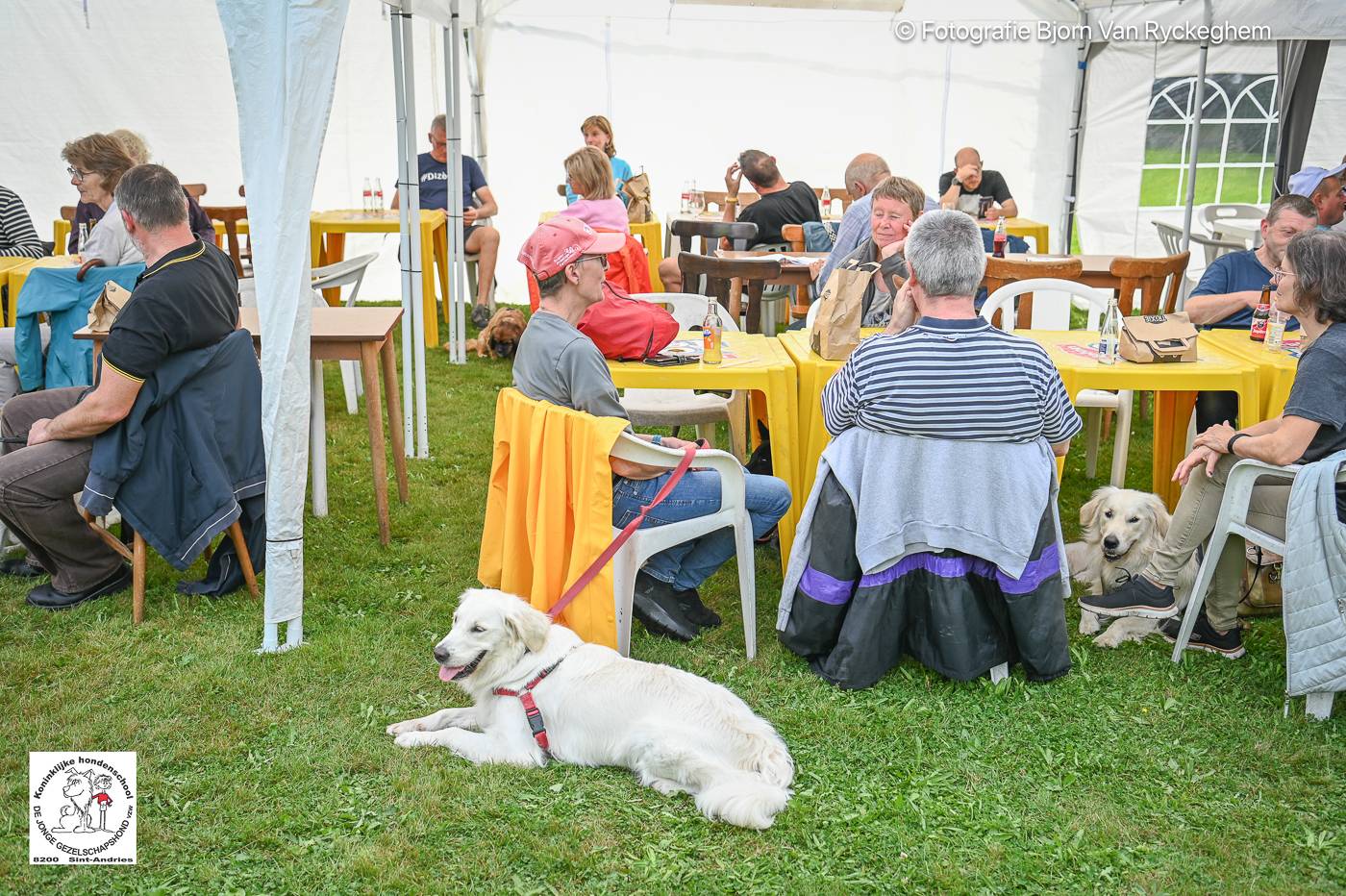 Hondenschool De Jonge Gezelschapshond Ontbijt & zoektocht 2025 163