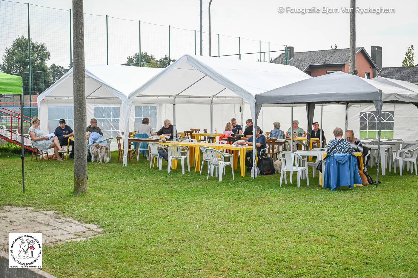 Hondenschool De Jonge Gezelschapshond Ontbijt & zoektocht 2025 143