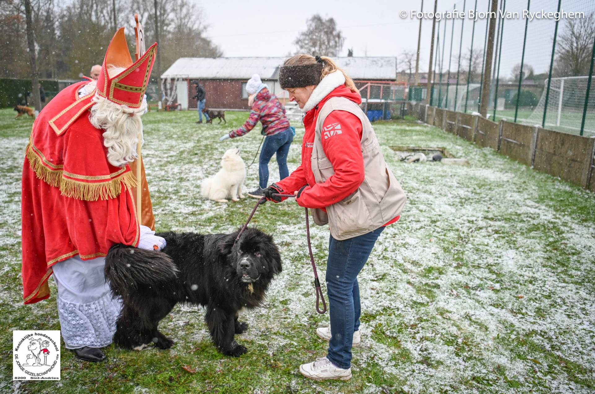 Hondenschool Sinterklaas 2023 122