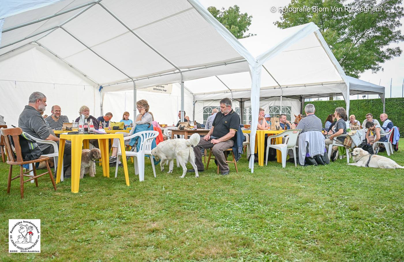 Hondenschool De Jonge Gezelschapshond Ontbijt & zoektocht 2025 169