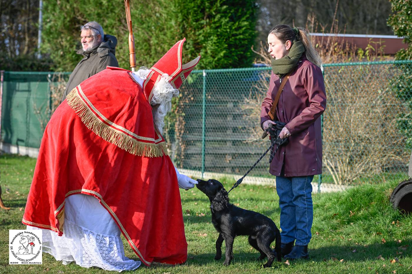 Sinterklaas 2024 81