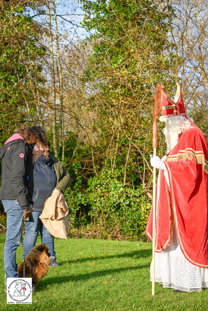 Sinterklaas 2024 48