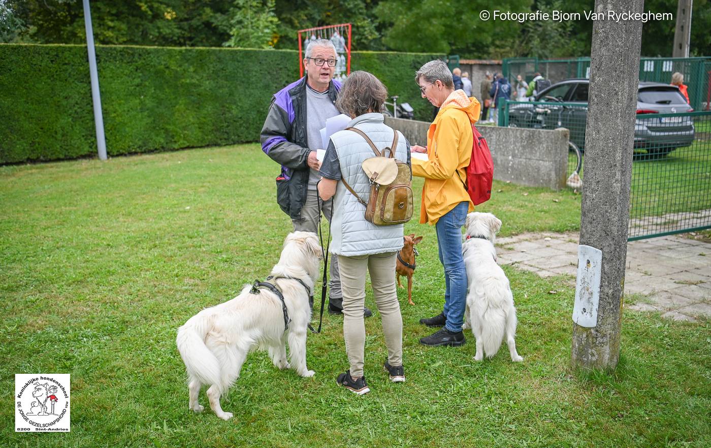 Hondenschool De Jonge Gezelschapshond Ontbijt & zoektocht 2025 67