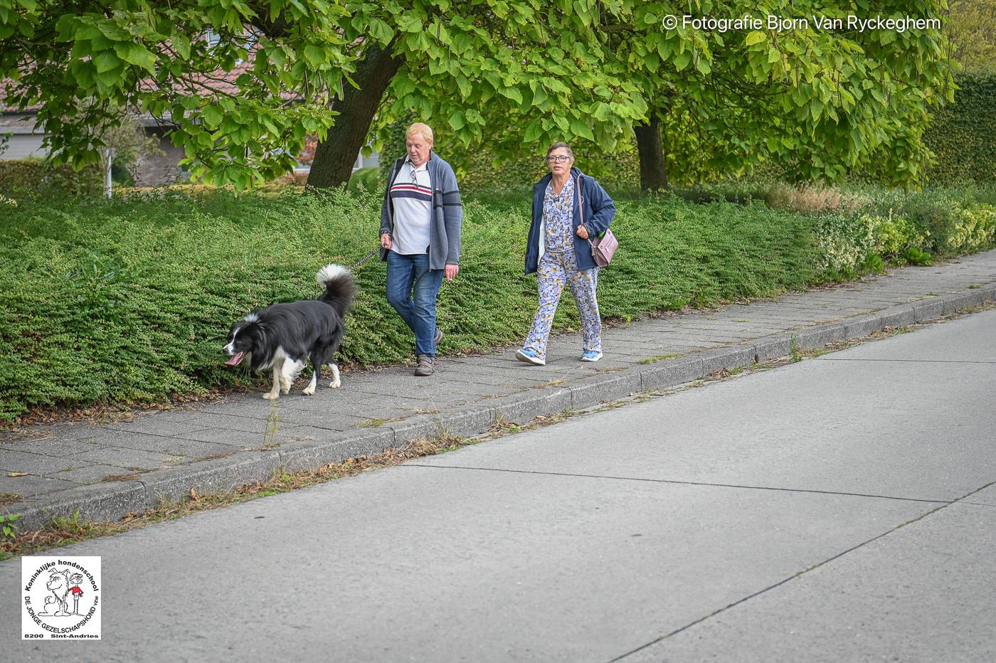 Hondenschool De Jonge Gezelschapshond Ontbijt & zoektocht 2025 115