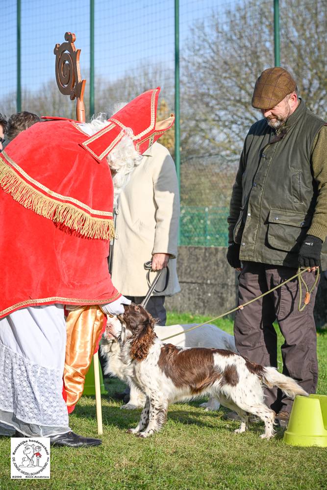 Sinterklaas 2024 115