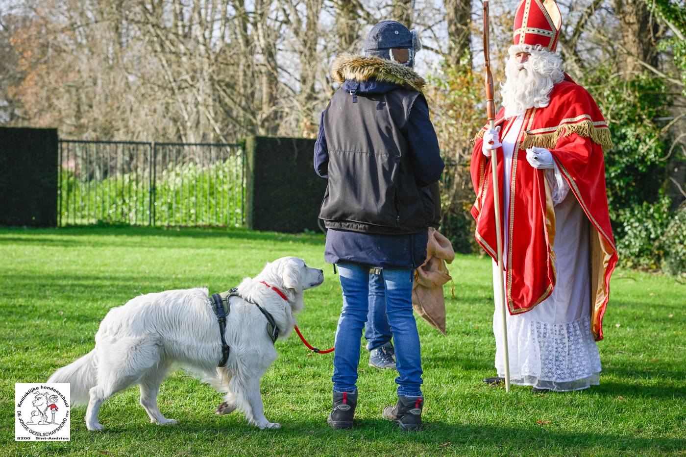 Sinterklaas 2024 149