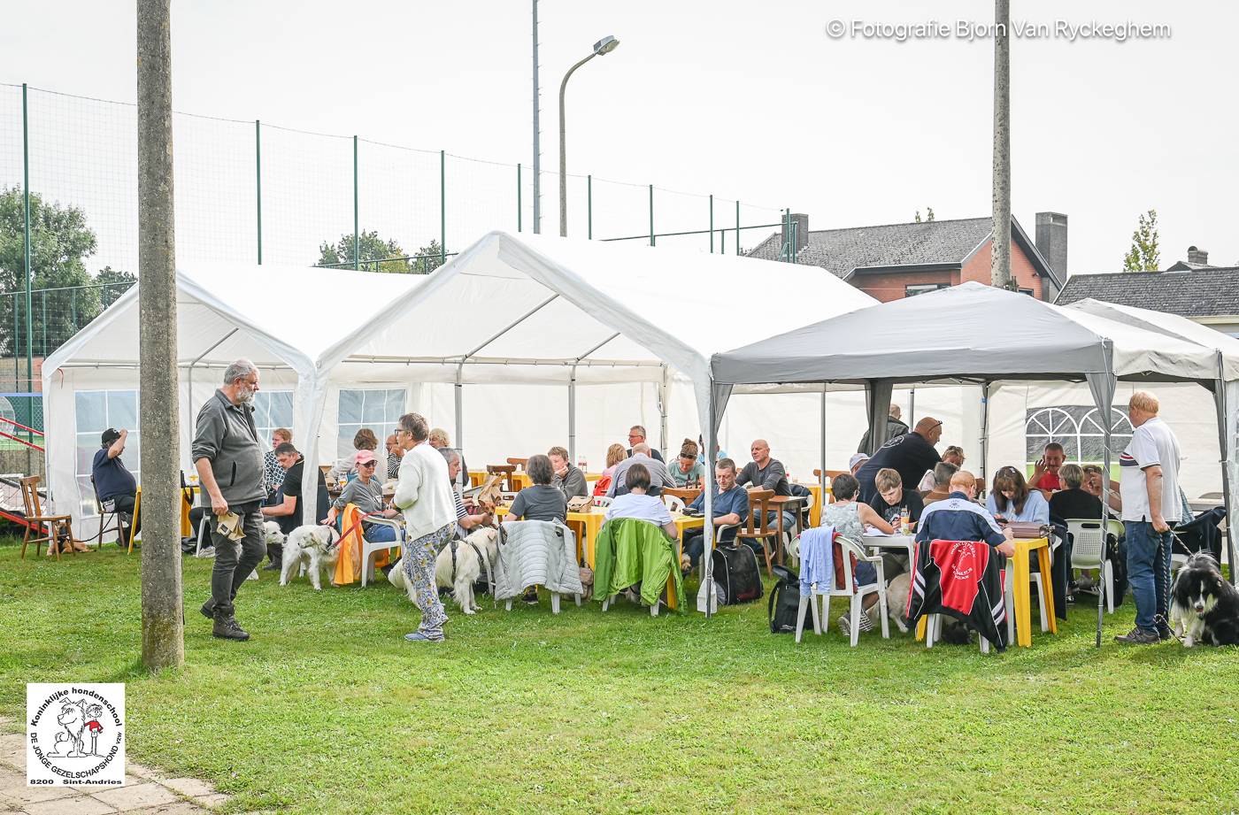 Hondenschool De Jonge Gezelschapshond Ontbijt & zoektocht 2025 158