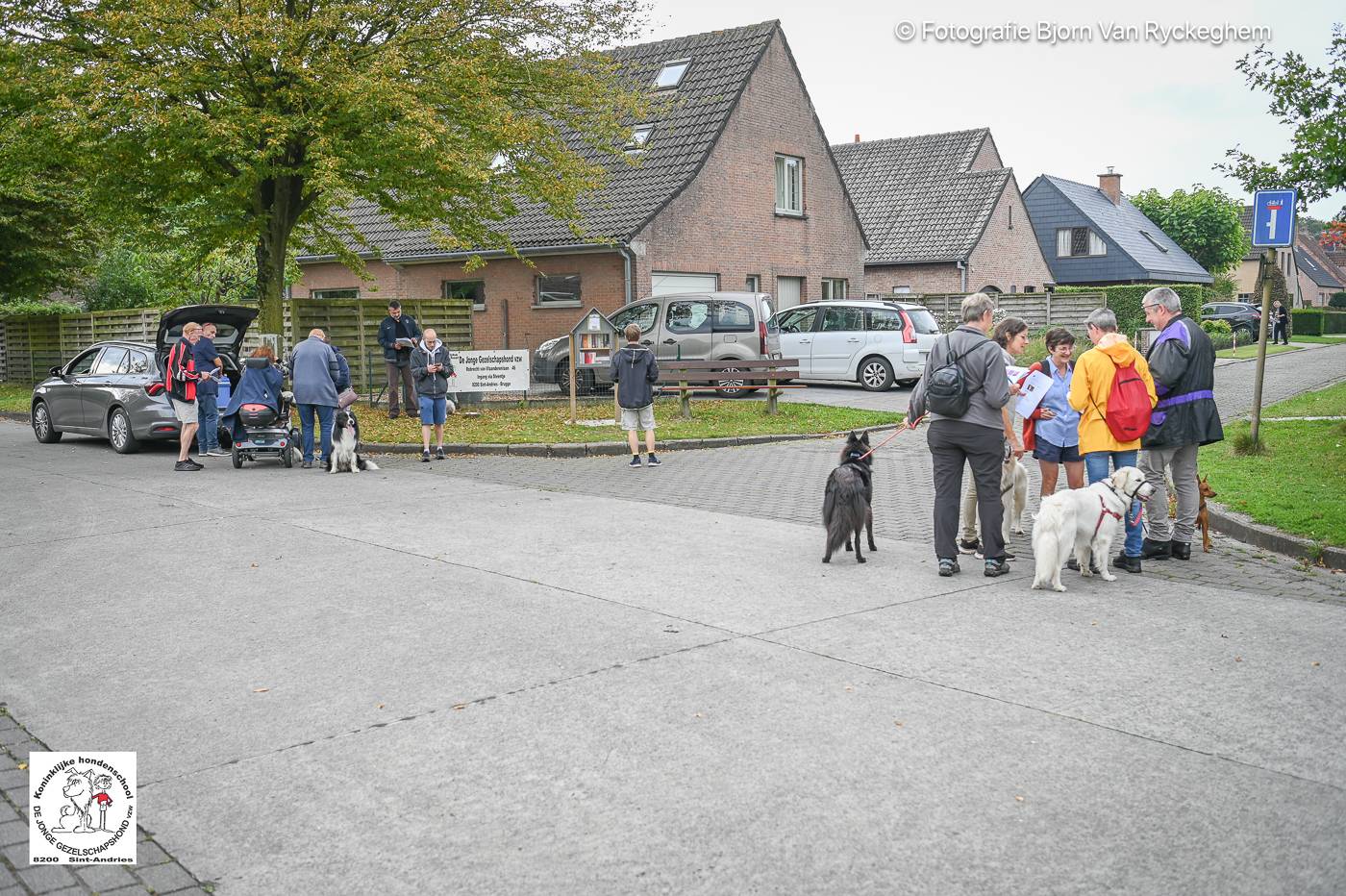 Hondenschool De Jonge Gezelschapshond Ontbijt & zoektocht 2025 122