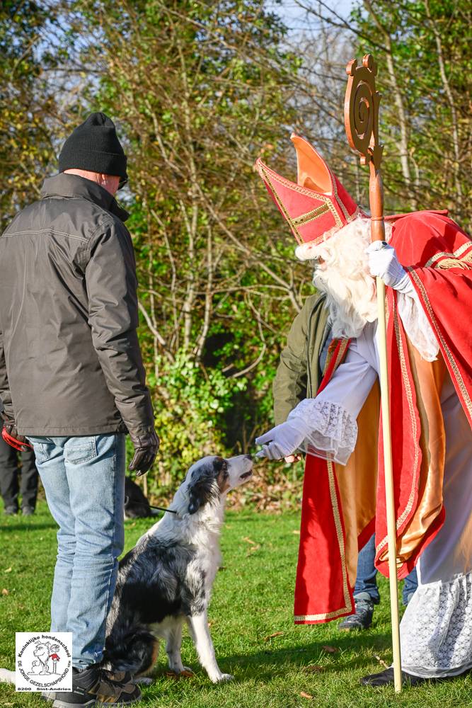 Sinterklaas 2024 39