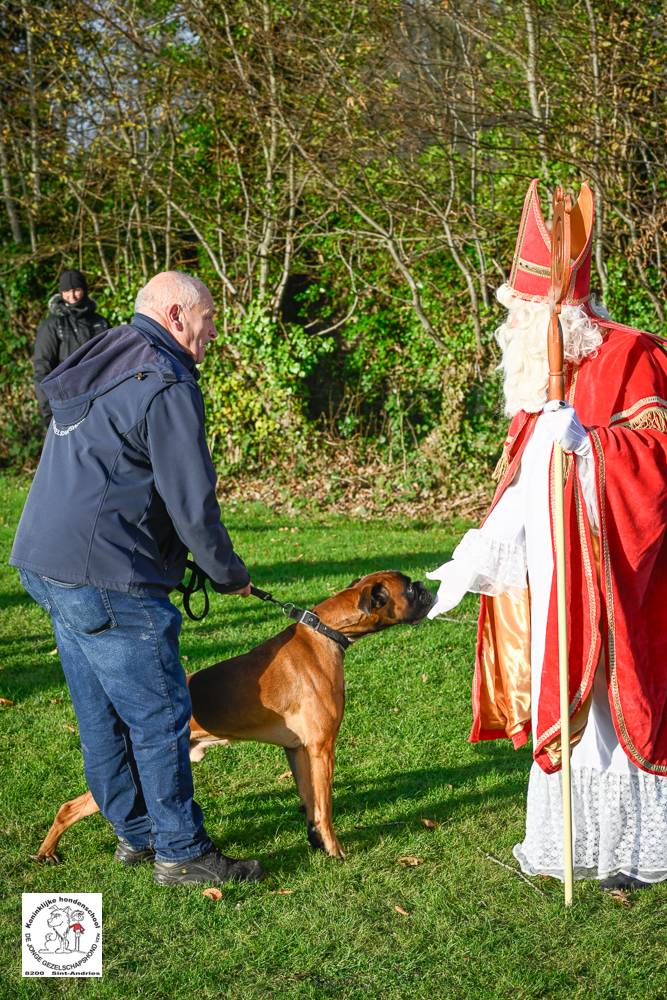 Sinterklaas 2024 36