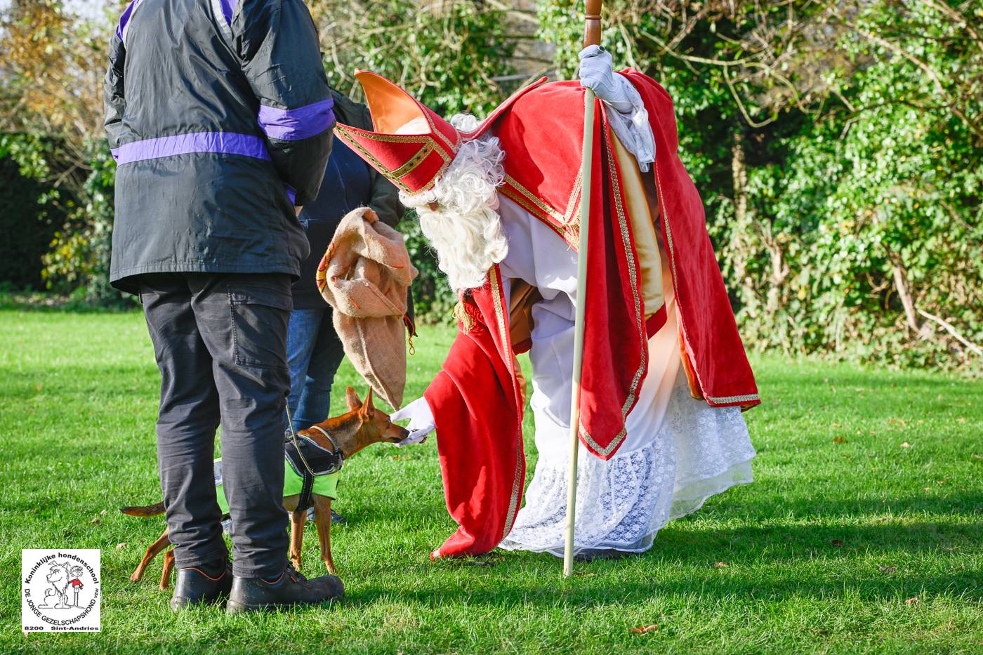 Sinterklaas 2024 147