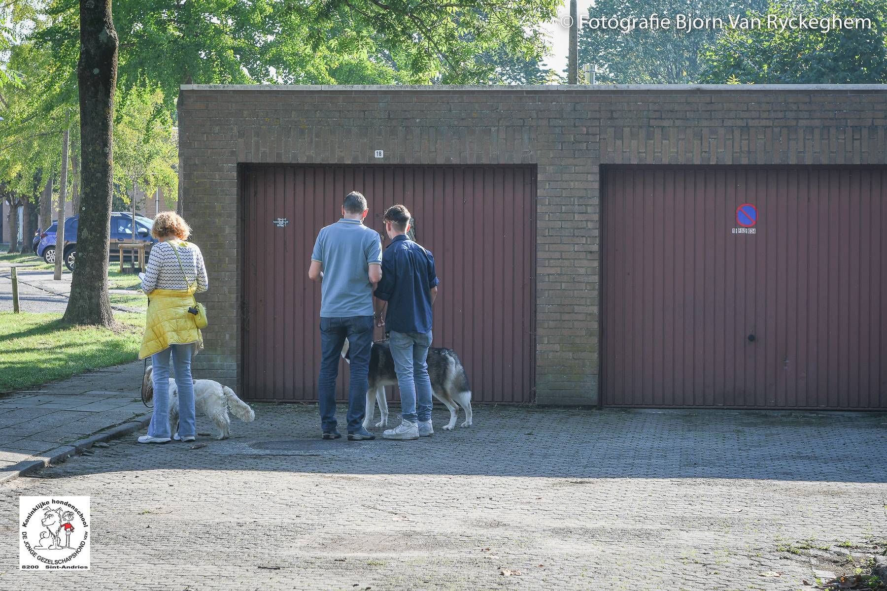Hondenschool De Jonge Gezelschapshond Ontbijt Zoektocht 2022 30