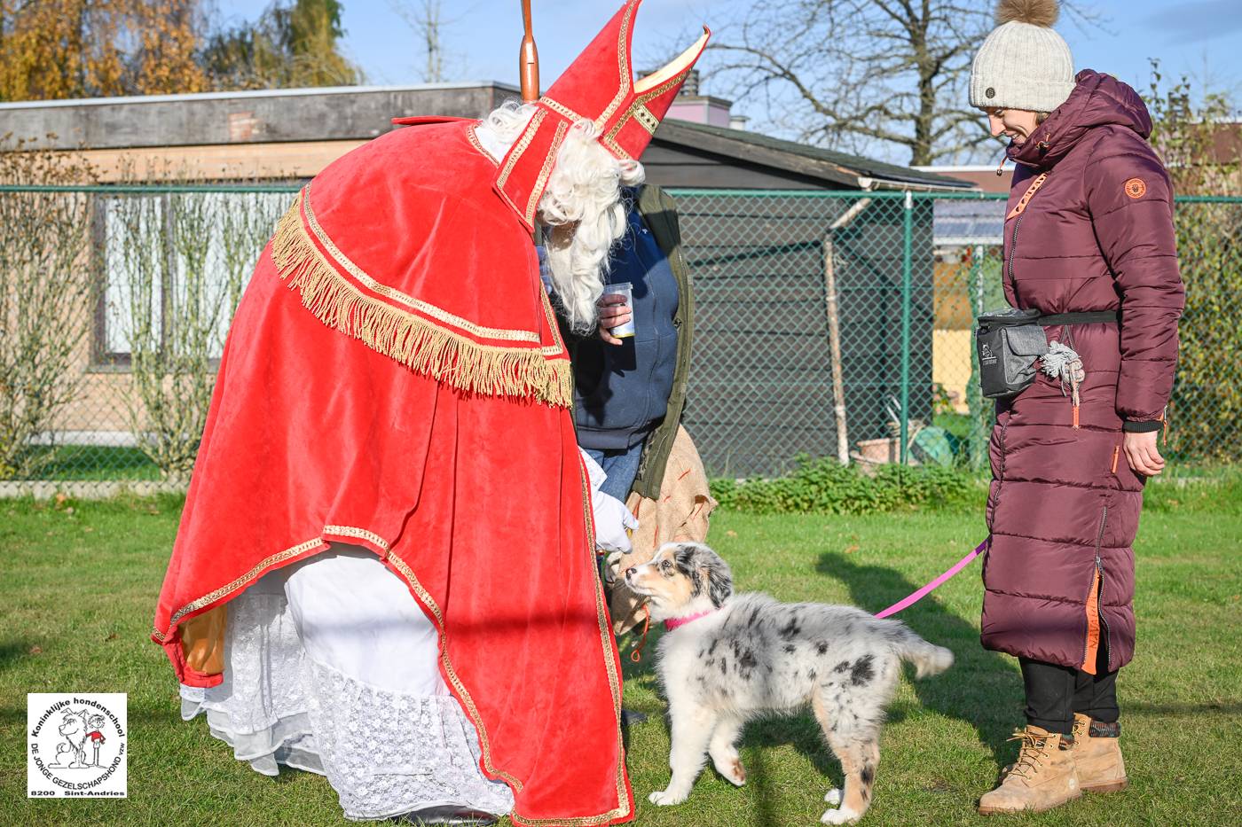 Sinterklaas 2024 88