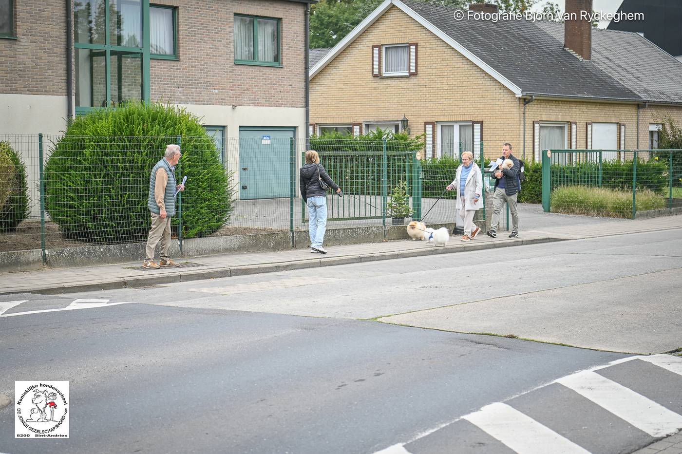 Hondenschool De Jonge Gezelschapshond Ontbijt & zoektocht 2025 90